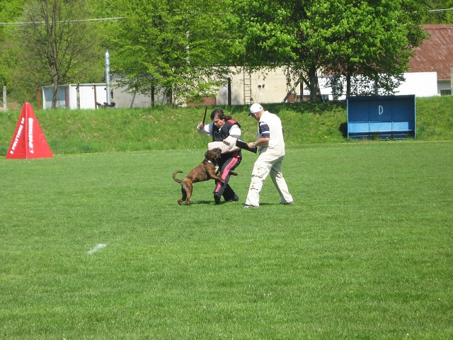 www.atibox.net * www.euroboxer.eu * www.boxergenealogia.eu